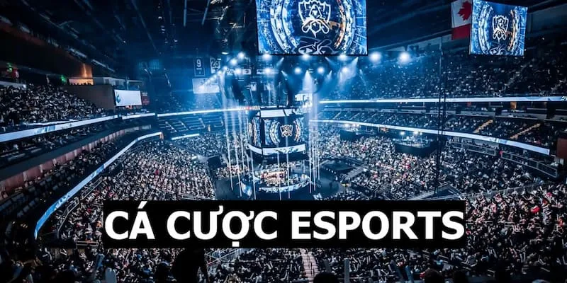 cá cược esports 77win